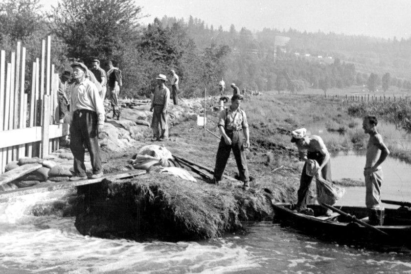 Flood At Essondale Colony Farm. Image H-03265 courtesy of the Royal BC Museum and Archives. Flood At Essondale Colony Farm.